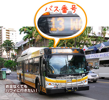 ハワイ ザ・バスのバス番号はバスの正面に表示されています