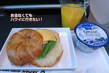 プレミアムエコノミー・エコノミークラス JAL 旅行記 食事