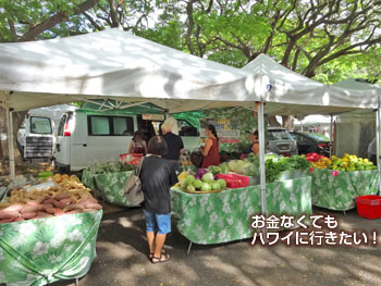 カイルアタウンファーマーズマーケットのハワイ産野菜のお店